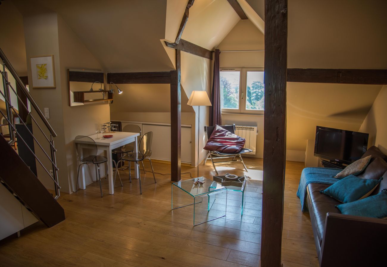 flat, luxury, seasonal rental, annecy, holidays, snow, beach, hotel, sun, winter, village, lake view, stay, friends, family 