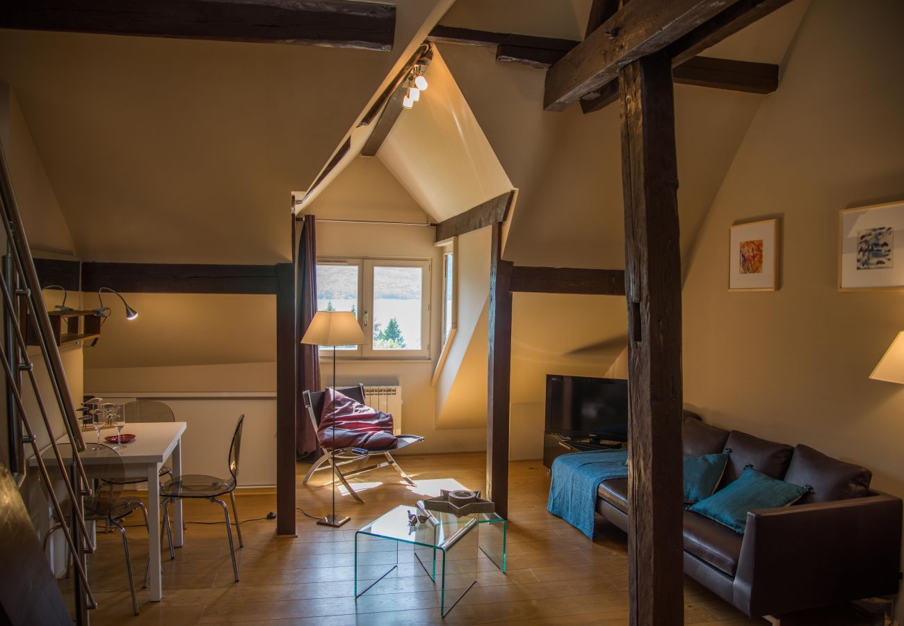 flat, luxury, seasonal rental, annecy, holidays, snow, beach, hotel, sun, winter, village, lake view, stays, friends, family
