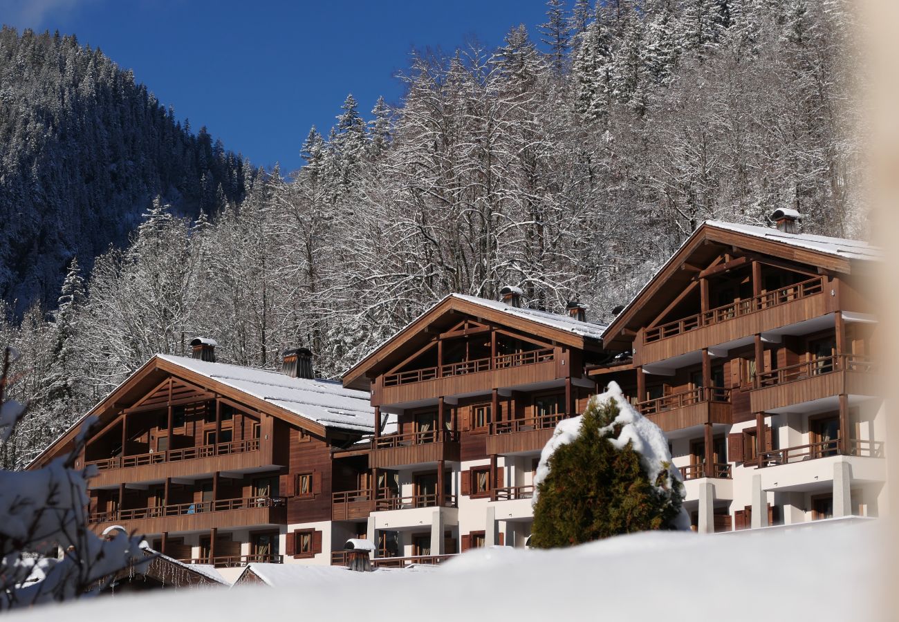 Apartment in La Clusaz - LCZ - Charmant T3 avec vue Aravis et spa, 4*
