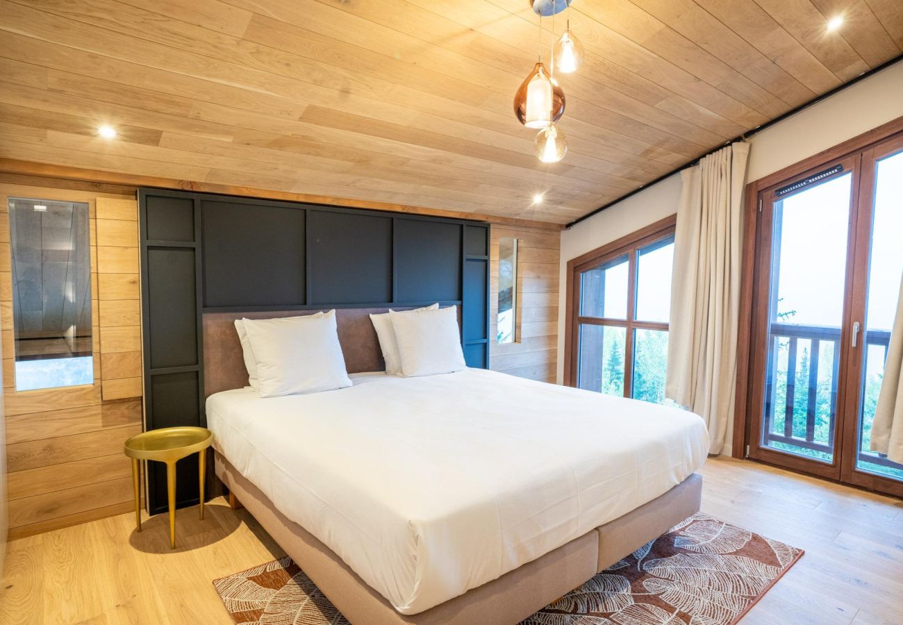 Ski area - holiday rentals - accommodation montage