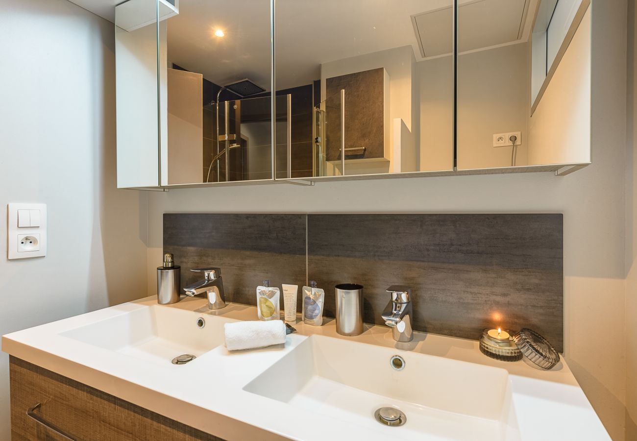 Shower room with washing machine and double basin - to rent in Haute Savoie 