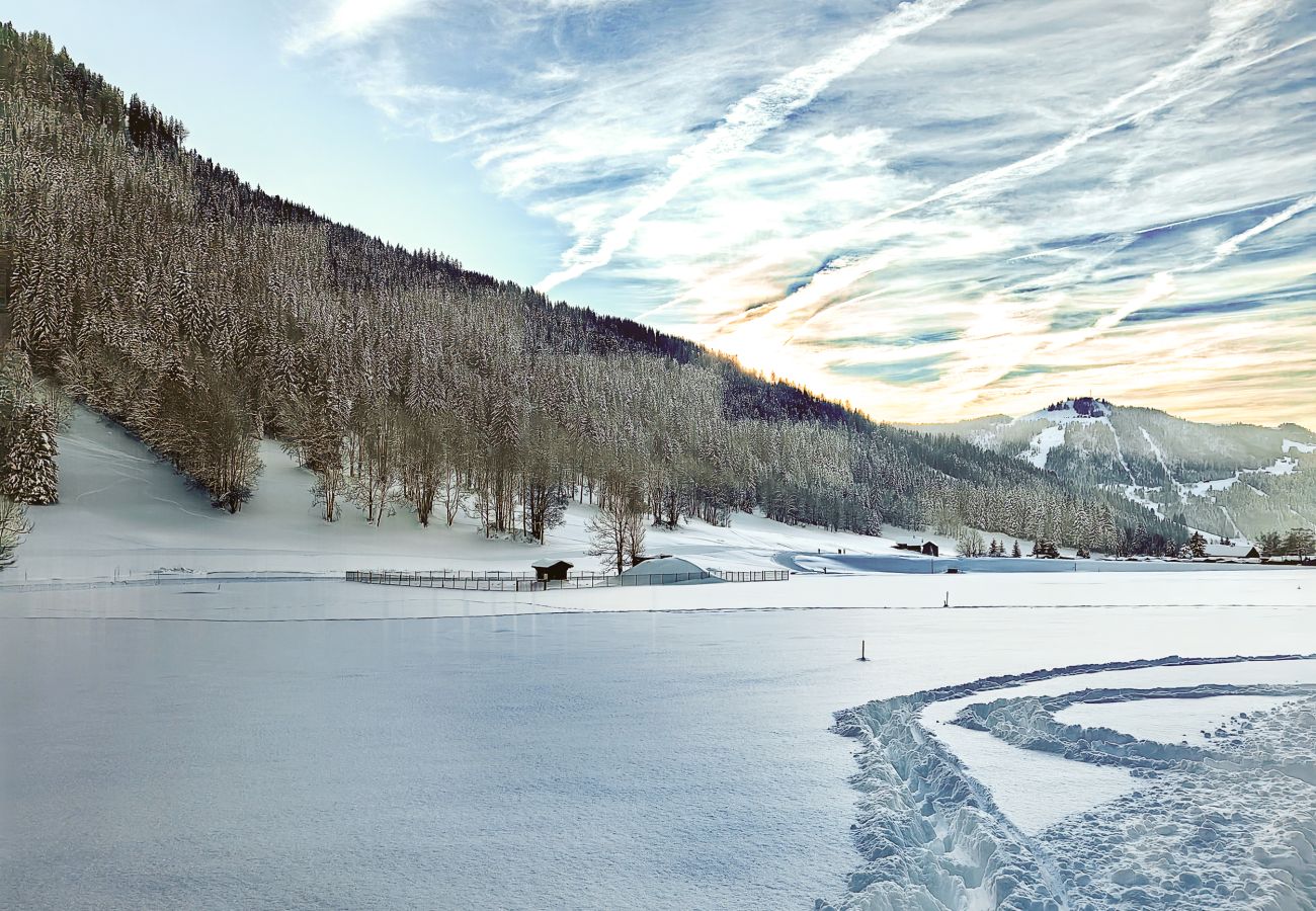 Chalet in La Clusaz - LCZ- Chalet Orea 15p - Piscine-Sauna-Jacuzzi