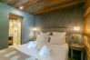 Chalet in Megève - Winter Megeve__ Chalet Majestic, Spa Privé