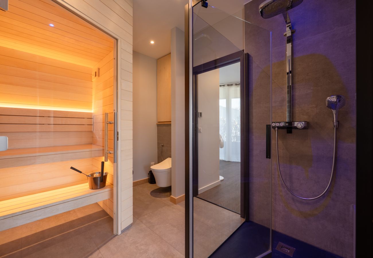 Apartment in Annecy - ANNECY - Le Penthouse du Lac