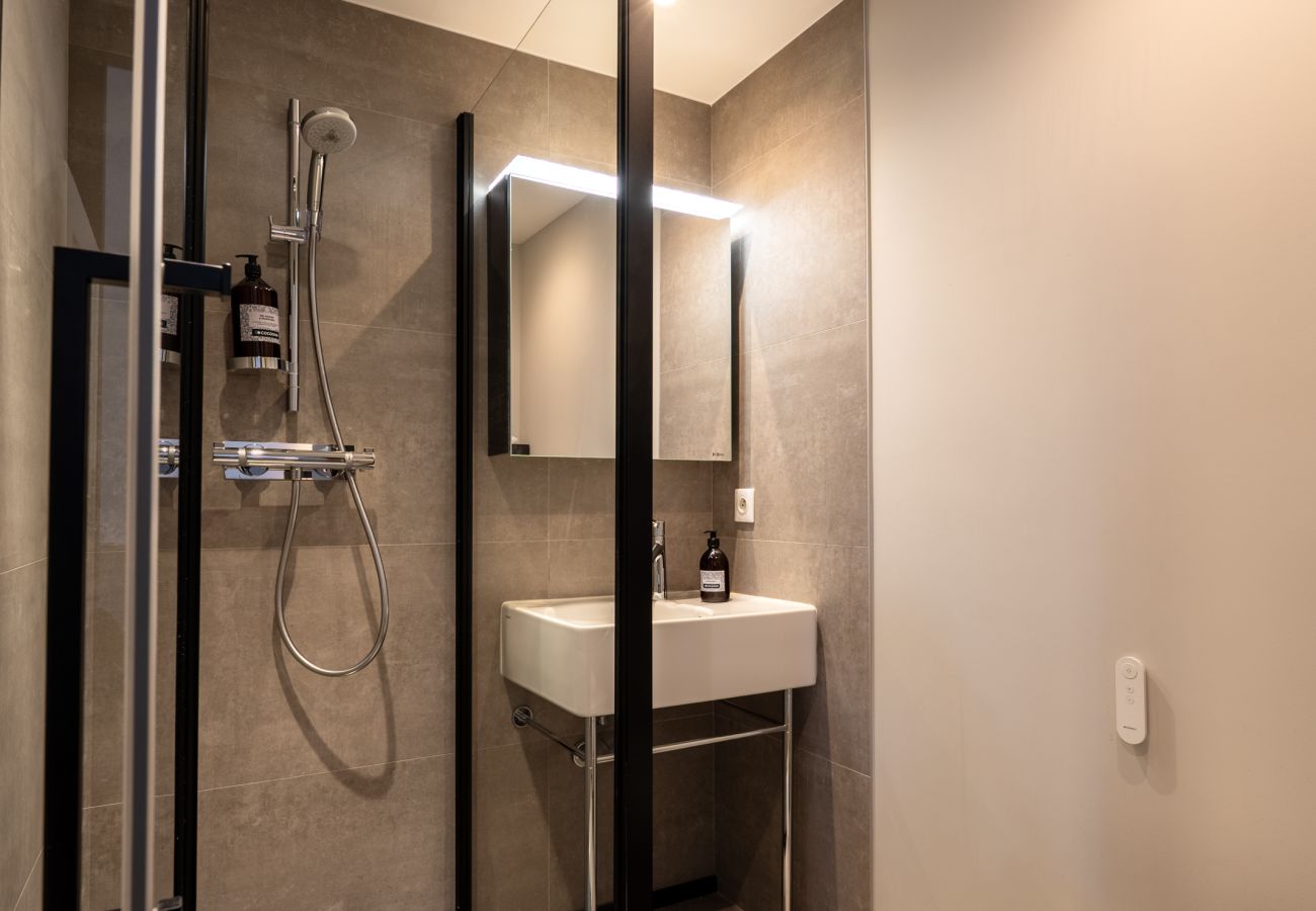 Apartment in Annecy - ANNECY - Le Penthouse du Lac