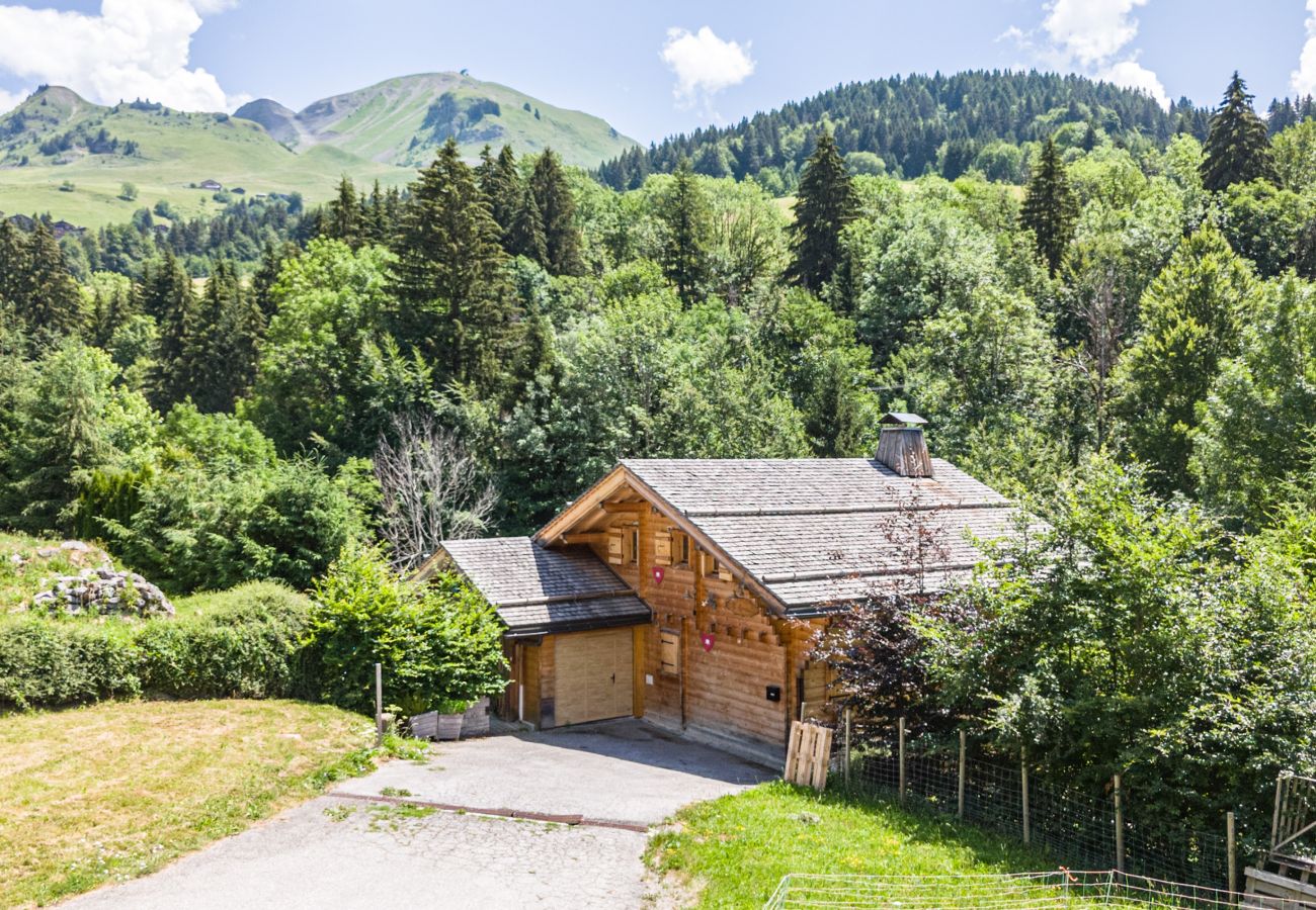 Chalet in Le Grand-Bornand - LE GRAND-BORNAND - L’Abri