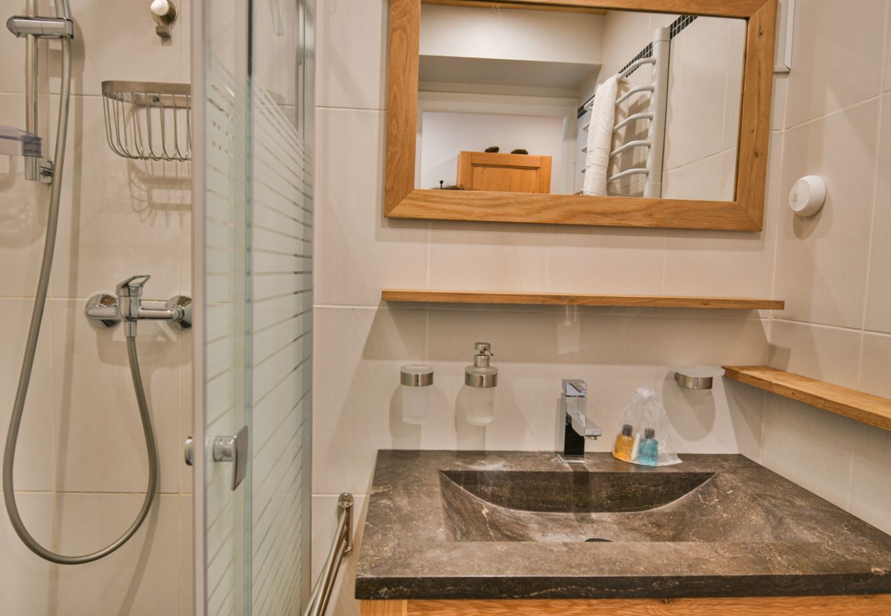 Apartment in Le Grand-Bornand - LE GRAND-BORNAND - Le Sommet Blanc - vue pistes