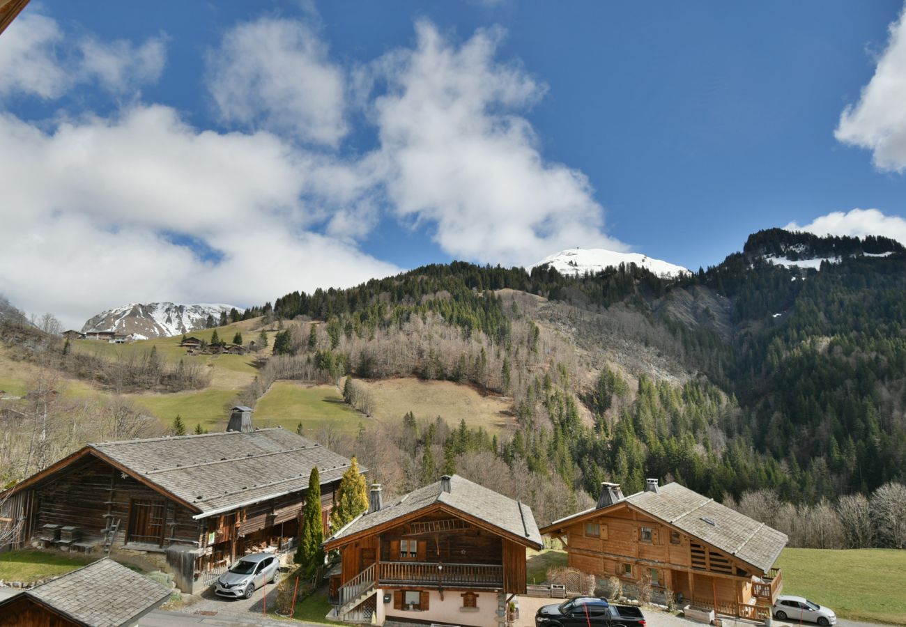 Chalet in Le Grand-Bornand - LE GRAND-BORNAND - La Maison du Chinaillon
