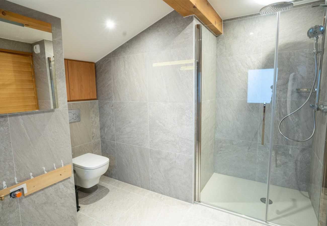 Location saisonnière - douche moderne - ski - proche des pistes