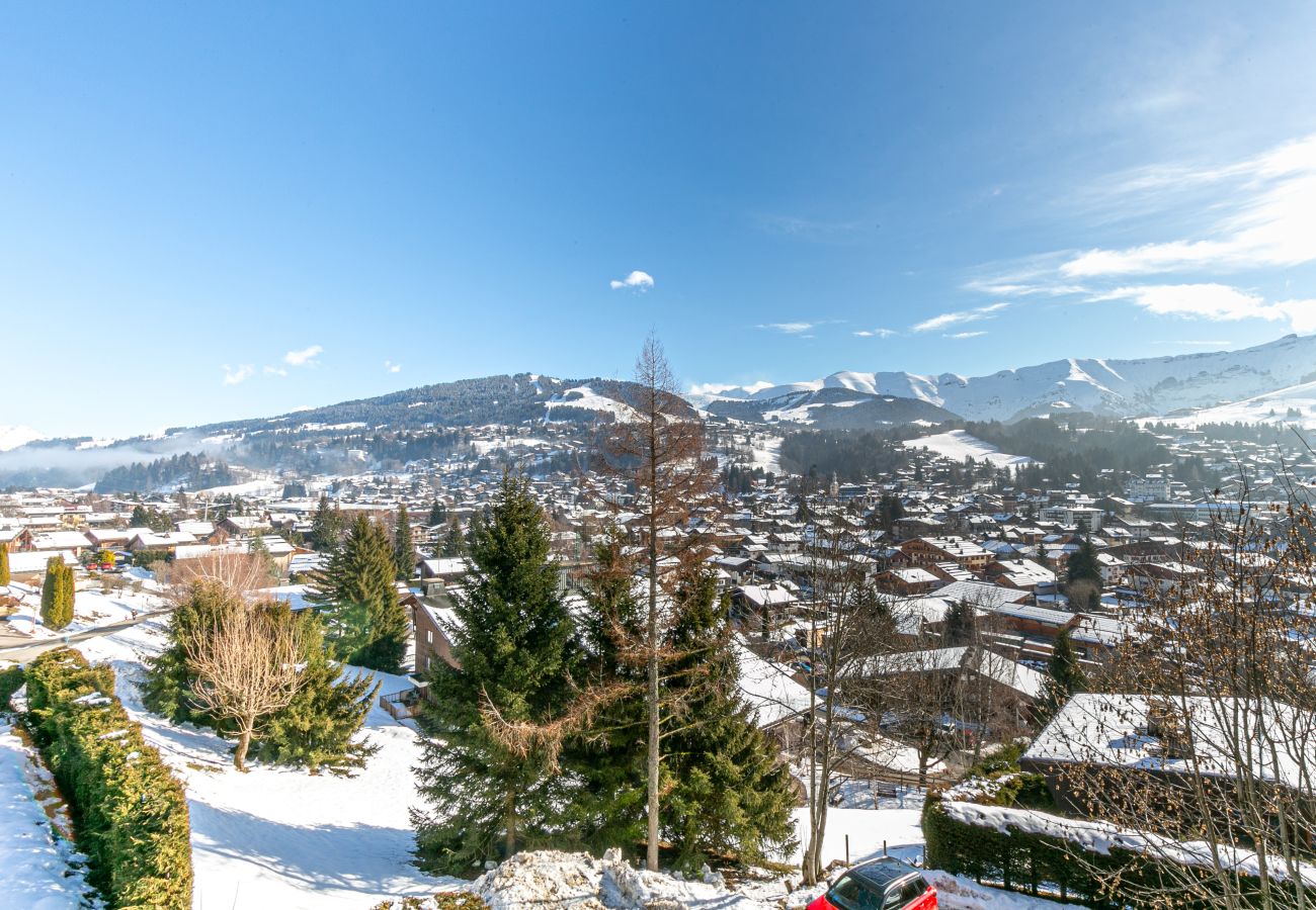 Chalet à Megève - Winter Megeve __ Chalet Altissima, Spa Privé