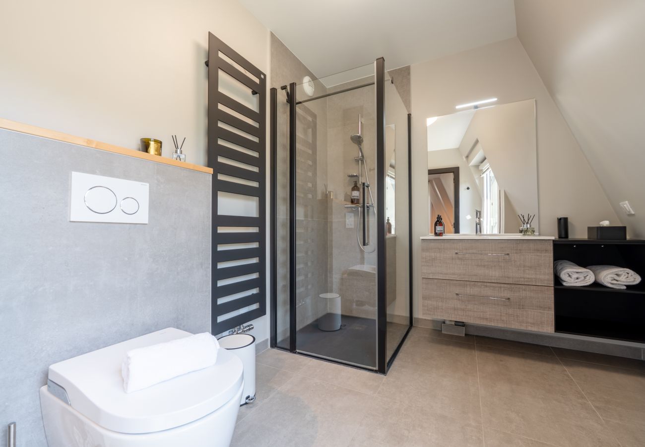 Appartement à Annecy - ANNECY - Le Penthouse du Lac